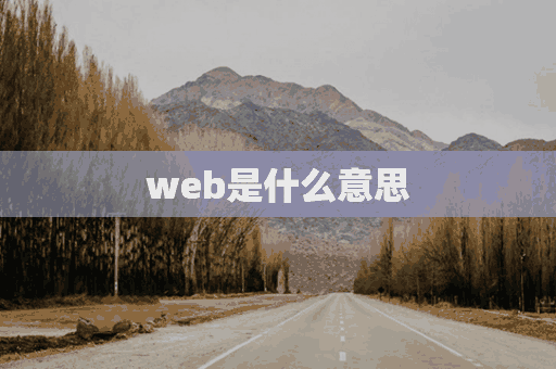 web是什么意思(web是什么意思啊)